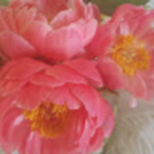 Meet your Posher, Parker